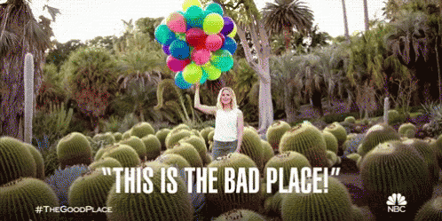 This Is The Bad Place Balloons GIF - This Is The Bad Place Balloons Cactus  - Discover & Share GIFs