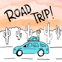 This Trip GIFs - Find & Share on GIPHY