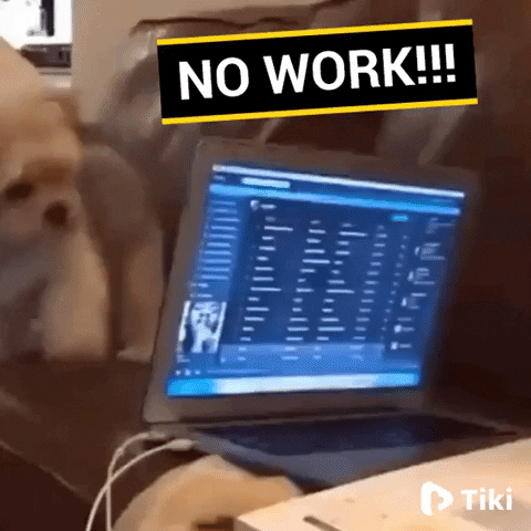 A puppy slams a laptop lid shut, caption “NO WORK!!!”