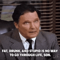 Animalhouse GIFs - Find & Share on GIPHY