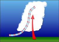 tornadogenesis stage 2