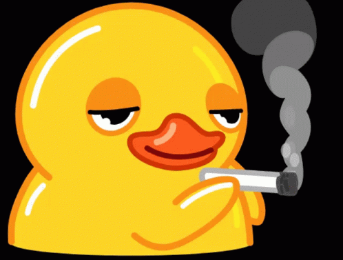 Duck Smoking GIF | Know Your Meme