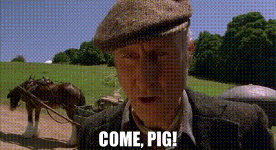 YARN | Come, Pig! | Babe (1995) | Video gifs by quotes | 3d7f3001 | 紗