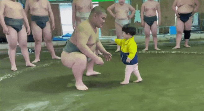 Tiny Toddler Knocks Over a Sumo Wrestler With a Single Adorable Blow