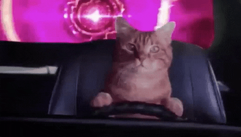 product hunt time travel GIF by Product Hunt