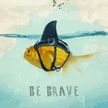 Be Brave GIFs | Tenor