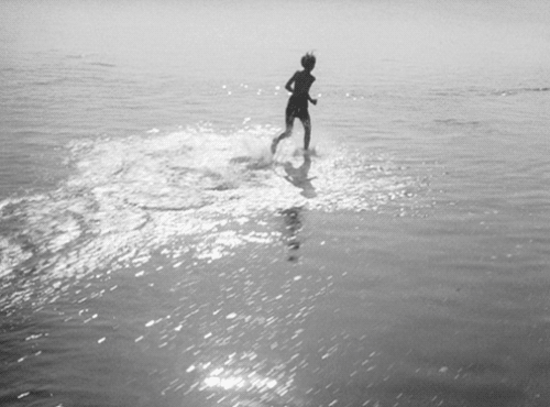 Running on water (GIF) | MATTHEW'S ISLAND