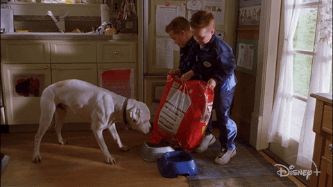 Steve Martin Cheaperbythedozen GIF by Disney+ - Find & Share ...