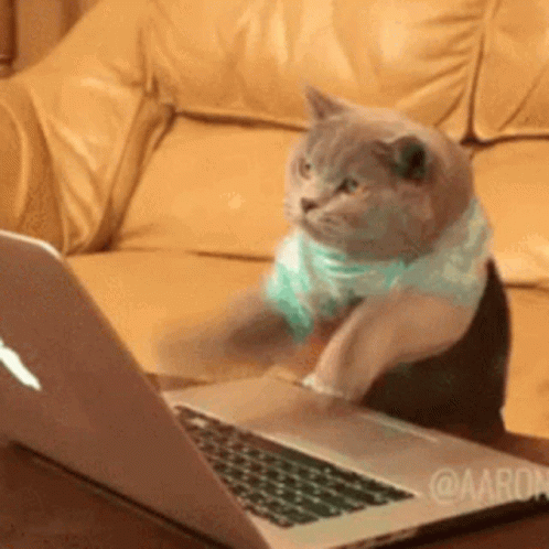 a cat smashing the keyboard frantically