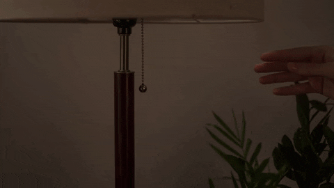 GIF by Mighty Oak GIF by Mighty Oak