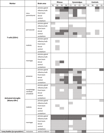 Table 2: