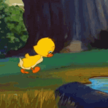 Ugly Duckling GIFs | Tenor