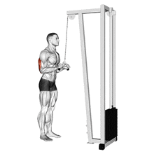Tricep Extension GIFs | Tenor Tricep Extension GIFs | Tenor