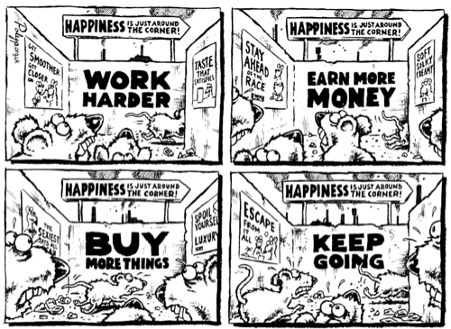 Money brings happiness is one of society's biggest lies
