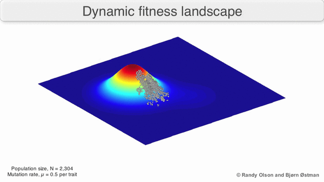 File:Visualization of a population evolving in a dynamic fitness landscape.gif