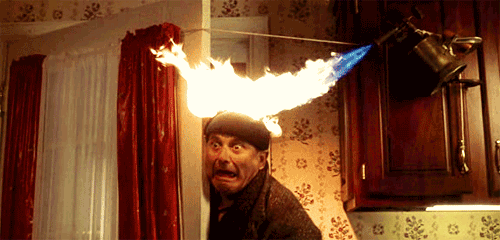 Harry Lyme | Home Alone Wiki | Fandom