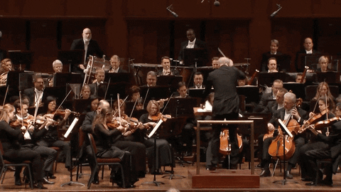 The Kennedy Center orchestra classical music symphony nso GIF
