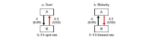 FX SWAPS