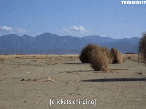 Tumbleweed Crickets Chirping GIF - Tumbleweed Crickets Chirping Silence -  Discover & Share GIFs