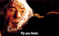 Fly You Fools Lord Of The Rings GIF by Maudit - Find & Share ...