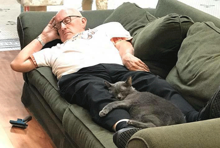 Man nicknamed 'Cat Grandpa' shows up at animal shelter every day to brush,  nap with cats - National | Globalnews.ca