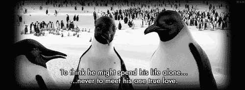 happy feet mine gif | WiffleGif