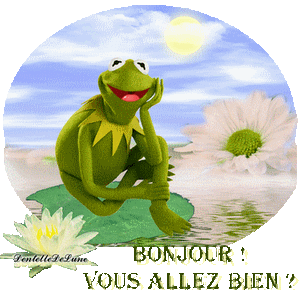 Gif animé Bonjour ! vous allez bien ? avec grenouille - les gifs animés de  dentelledelune