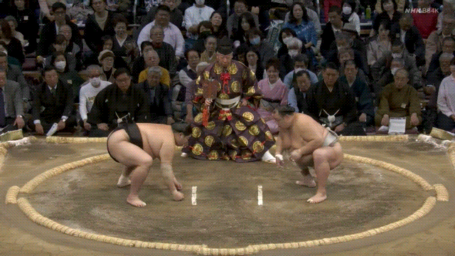 Grand sumo: Hokutofuji (grey) defeats Abi (black).