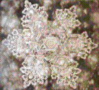 Water Crystal- Spring water (Emoto Masaru)