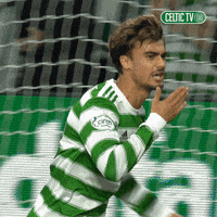 Celtic Fc Sport GIF by Celtic Football Club - Find & Share ...