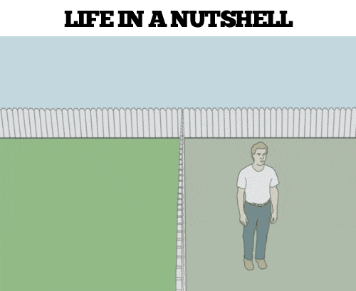 Grass is ALWAYS greener on the other side - GIF on Imgur