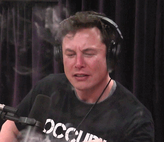 Elon GIFs - Get the best GIF on GIPHY