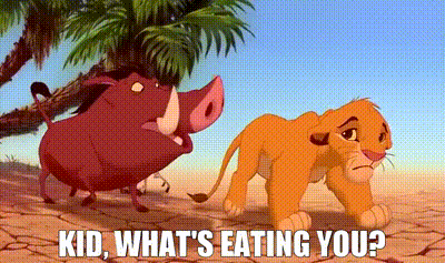 YARN | Kid, what's eating you? | The Lion King (1994) | Video clips by  quotes | 20b677bb | 紗