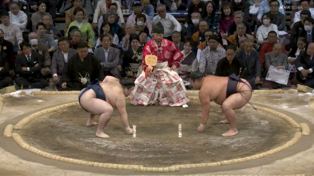 Grand Sumo: Gonoyama (blue) defeats Shonannoumi (black).