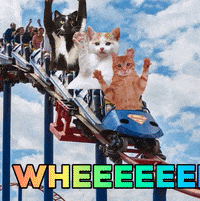 Rollercoaster GIFs - Get the best GIF on GIPHY