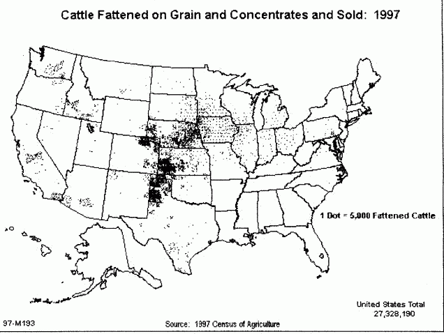 location of cattle feedlot CAFO