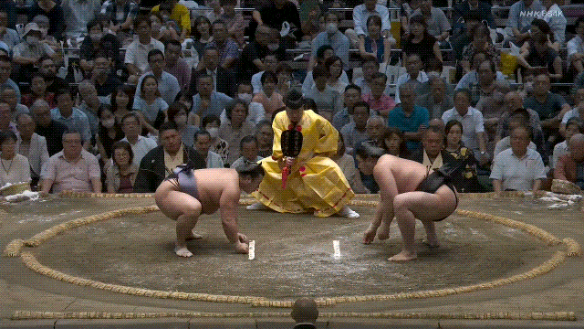 Tobizaru vs. Wakamotoharu