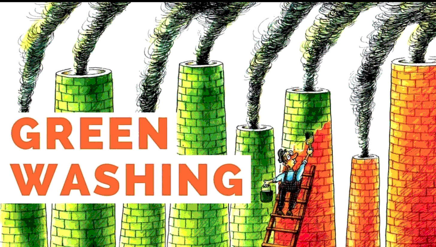 Look Out! From Greenwashing to Pinkwashing: Calling out false  representation​ - Alliance for Sustainability