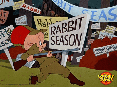 rabbit season