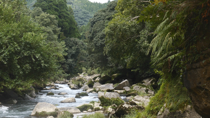 Soothing mountain river in Japan [Gif] | Nature gif, Rocky river, Amazing  nature