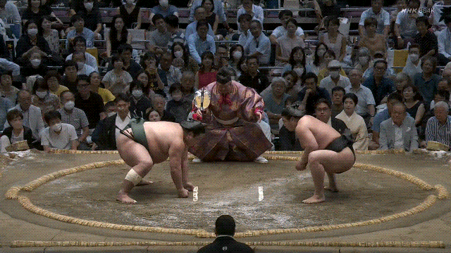 Nishikigi vs. Wakamotoharu
