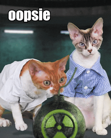 Devon Rex Cats GIF Devon Rex Cats GIF