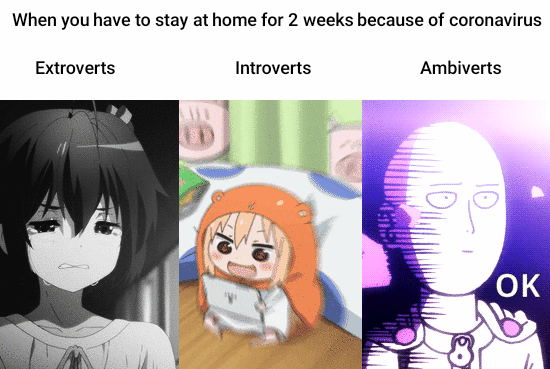 Coronavirus ? I don't really care. | /r/Animemes | Introverts vs. Extroverts  During Quarantine | Know Your Meme
