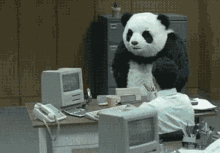 Office Panda GIFs | Tenor