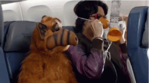 Save Yourself Face Mask GIF - Save Yourself Face Mask Oxygen Mask -  Discover & Share GIFs