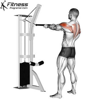 Face Pull Overview - Muscles Worked, Benefits, Technique