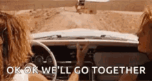 Thelma And Louise Movie Ending GIF - Thelma And Louise Movie Ending -  Discover & Share GIFs