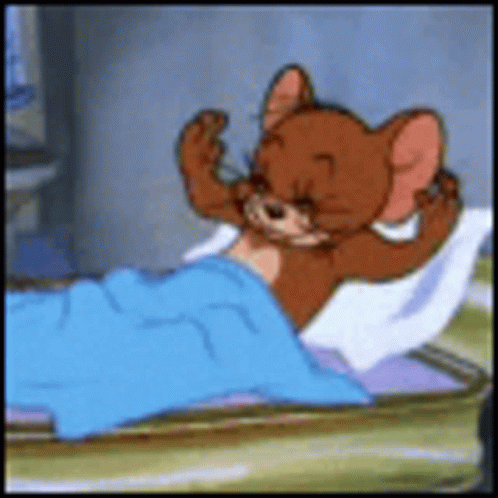 Sleep Sleeping Time GIF - Sleep Sleeping Time Tom And Jerry - Discover &  Share GIFs