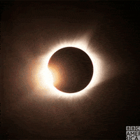 Eclipse GIFs - Find & Share on GIPHY