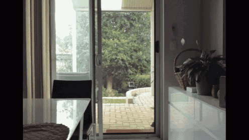 Kitten Impossible GIF - Cat Climb Screen - Discover & Share GIFs